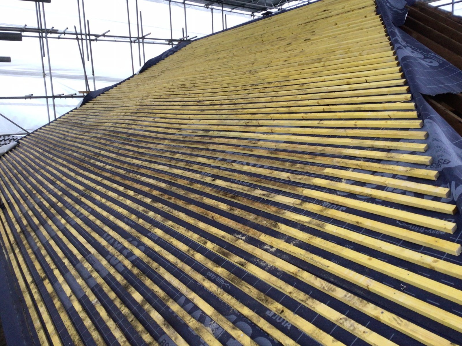Mossy roof stripped back in Essex